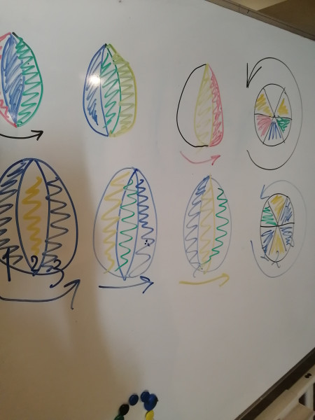 IMG_20250419_131917.jpg IMG_20250419_131917.jpg