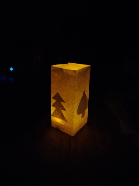 photo_2025-11-15_21-14-46